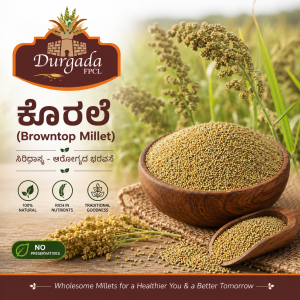 Browntop Millet